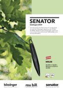 senator